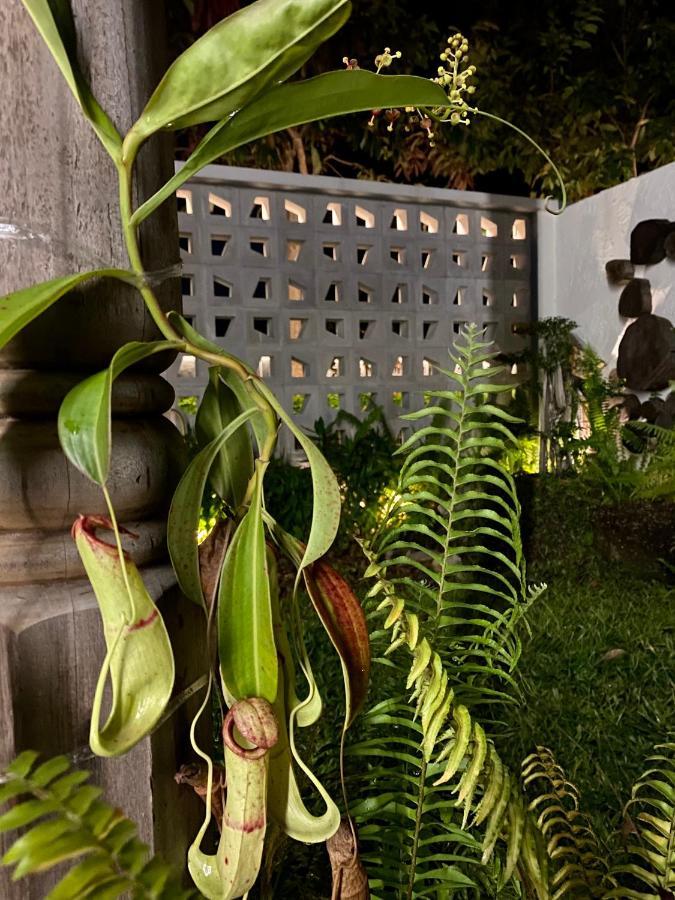 Ikiru 18 Private Saltwater Pool Villa, 3 Ensuite Br, Outdoor Bbq, 5 Mins To Beach Pantai Cenang  Luaran gambar